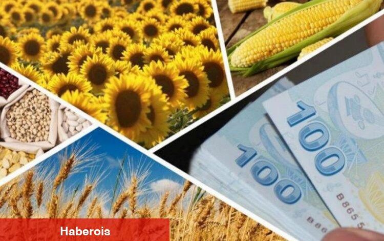 238 milyon TL'lik tarımsal destek hesaplarda - Haberois 238 milyon TL'lik tarımsal destek hesaplarda