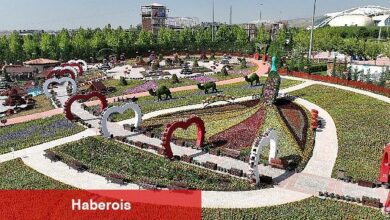 27 Türde, 400 bin çiçeğe ev sahipliği yapıyor