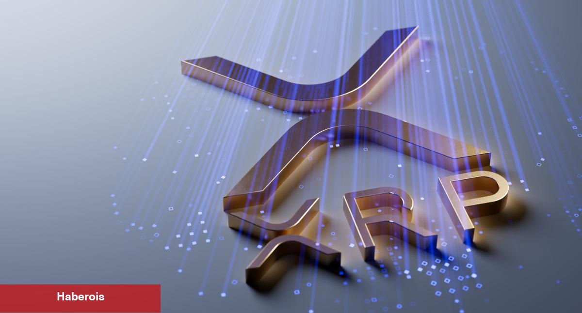 30 Finans Uzmanından XRP, BTC ve SHIB Tahminleri!