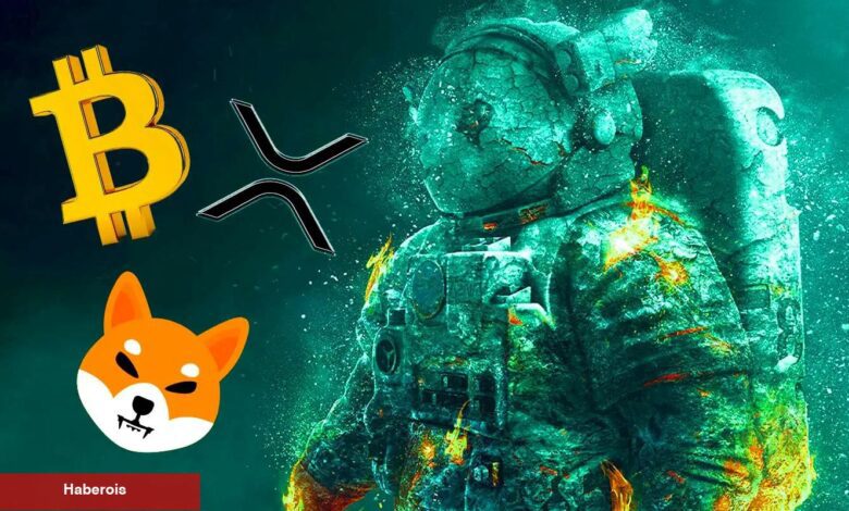 30 Finans Uzmanından XRP, BTC ve SHIB Tahminleri! - Haberois 30 Finans Uzmanından XRP, BTC ve SHIB Tahminleri!