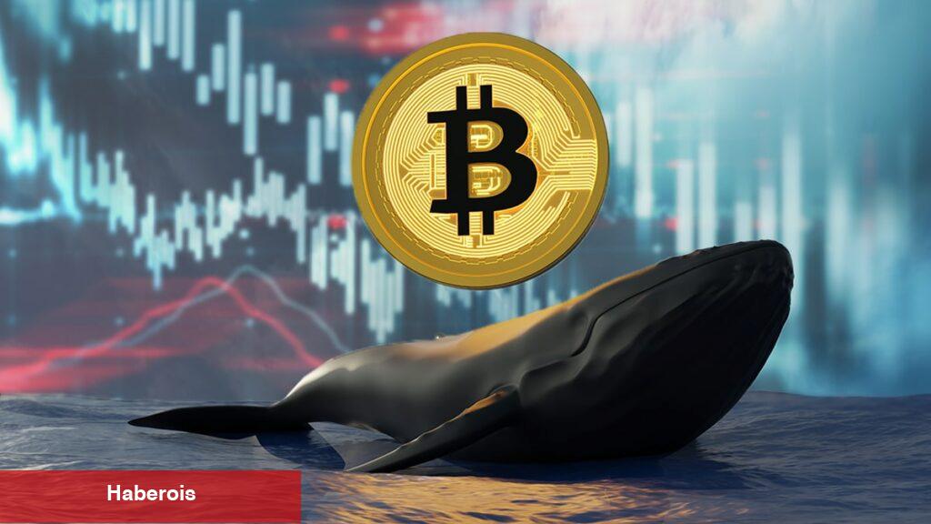 7 Bitcoin Analisti Konuştu: Ağustos’ta Bu Rakamlardayız! - Haberois 7 Bitcoin Analisti Konuştu: Ağustos’ta Bu Rakamlardayız!