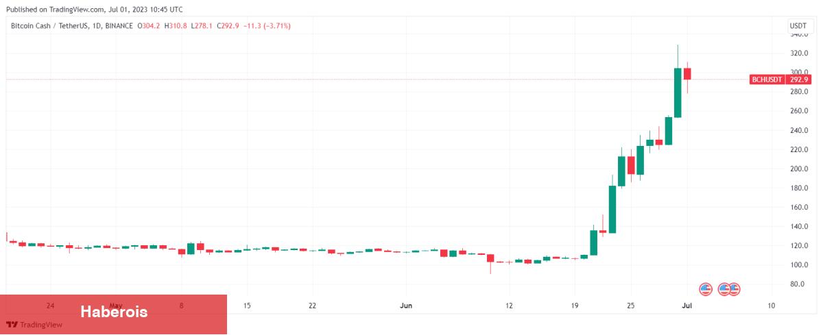 Açıklandı: Balinalar Temmuz İçin Bu Altcoin’leri Topluyor!