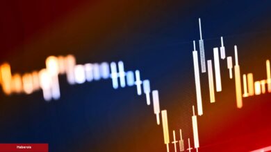 Açıklandı: Bu 3 Altcoin İçin Patlayıcı Büyüme Bekleniyor!