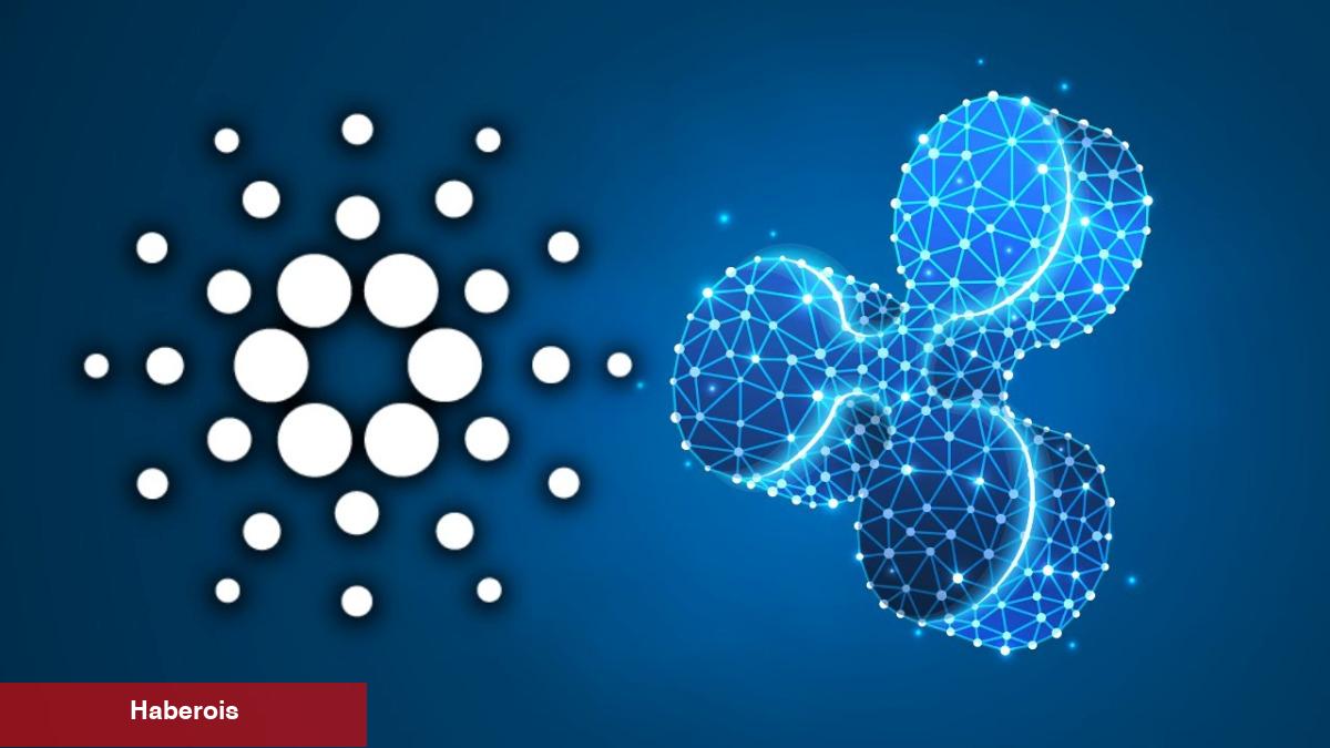 Ağustos İddiaları Çıktı: Bu 8 Altcoin Pik Yapabilir!