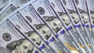Analist Çıldırdı: Bu Altcoin 100 Dolara Ulaşacak!