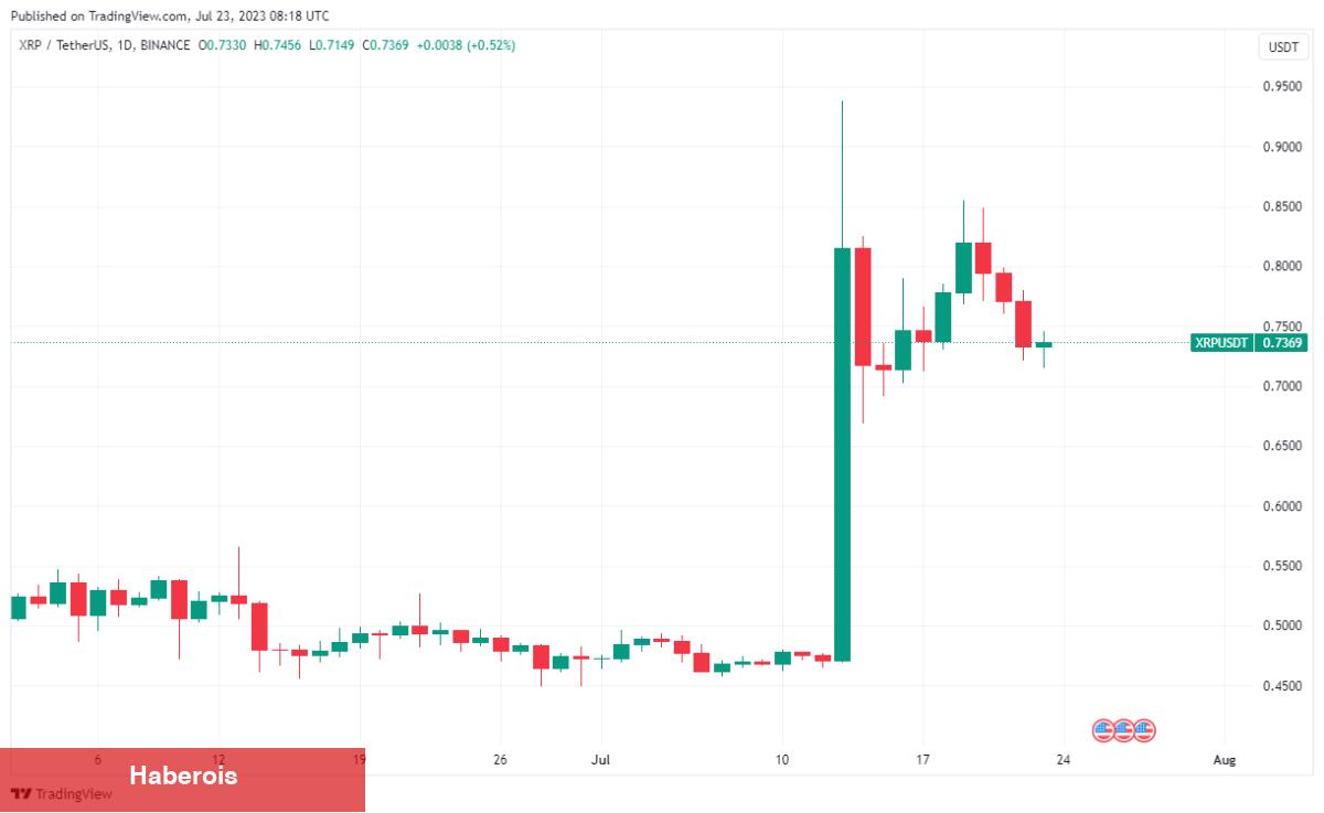 Analist Düzey Verdi! O Altcoin’i Açığa Satacak!