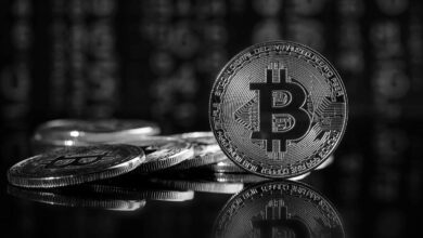 Analist, Takip Edilecek 4 Altcoin’i ve BTC Varsayımını Açıkladı!