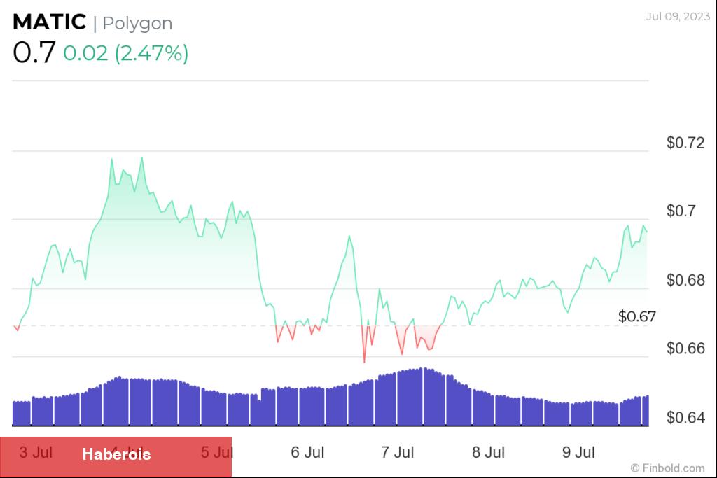 Analistler: Altcoin Dönemi Geliyor! Bu Coinler Toplanır