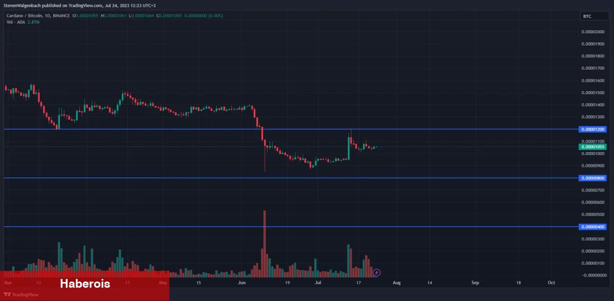 Analistler: Bu 4 Altcoin Sert Düşüşler Görebilir!