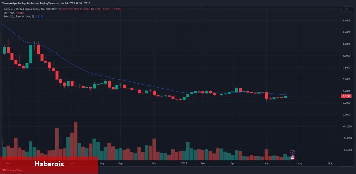 Analistler: Bu 4 Altcoin Sert Düşüşler Görebilir!