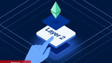 Analistler ‘Hızlı Yükseliş’ Bekledikleri 3 Altcoin Duyurdu!