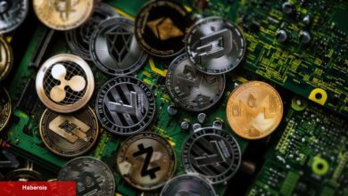 Analistler, PEPE ve Bu 5 Altcoin’de Yükselişe Geçti!