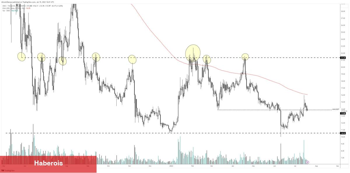 Analistler Uyardı: AVAX ve Bu 4 Altcoin İçin Dikkatli Olun!
