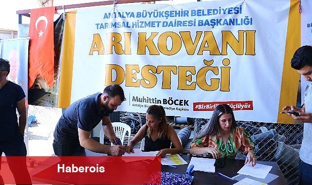 Antalya Büyükşehir'den üreticilere kovan desteği - Haberois Antalya Büyükşehir'den üreticilere kovan desteği