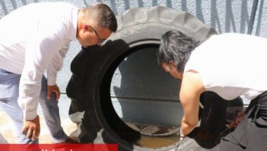 Atık lastiklere dikkat! Sivrisinek üretiyor
