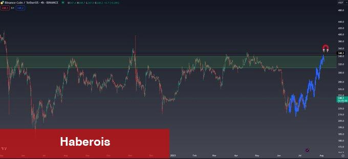 Balina İddiaları: Bu 5 Altcoin İçin Ralli Bekleniyor!