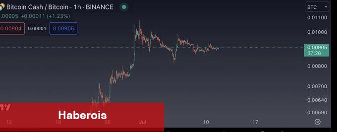 Balina İddiaları: Bu 5 Altcoin İçin Ralli Bekleniyor!