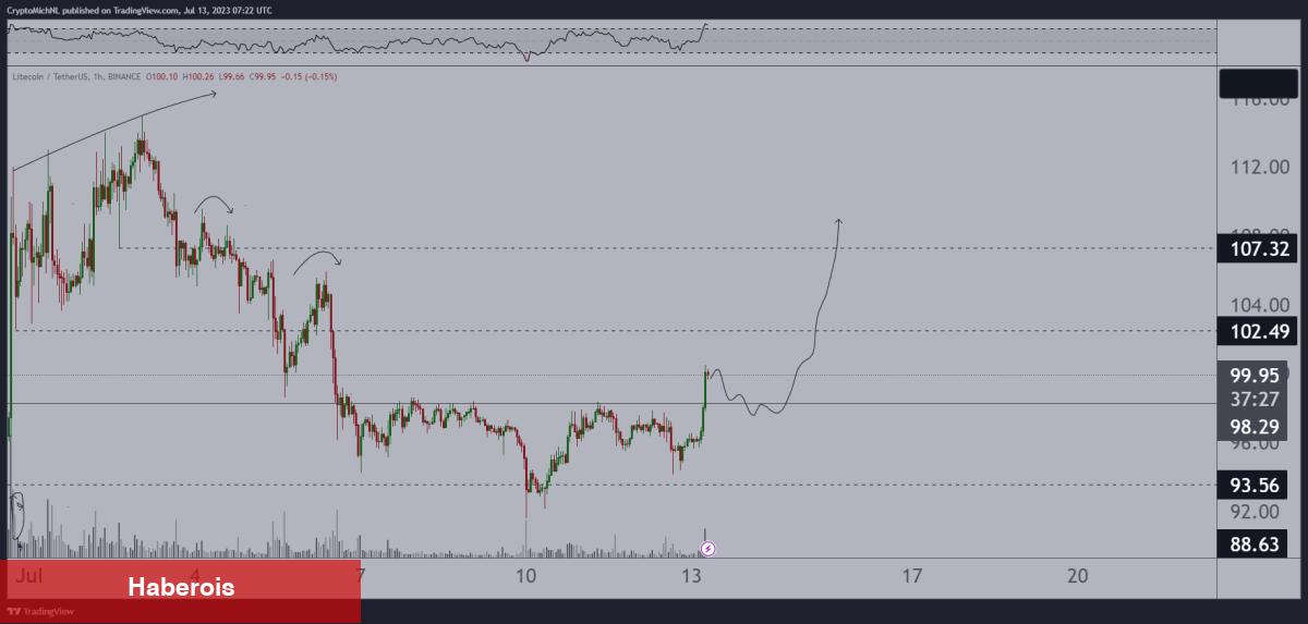 Balina İddiaları: Bu 5 Altcoin İçin Ralli Bekleniyor!