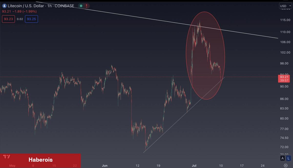 Balina Kestirim Yaptı! İşte İzlemeniz Gereken 9 Altcoin