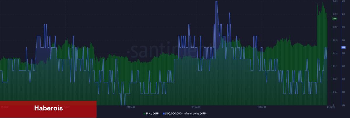 Balinalar Ripple Biriktirmeye Devam Ediyor! XRP Tahlili