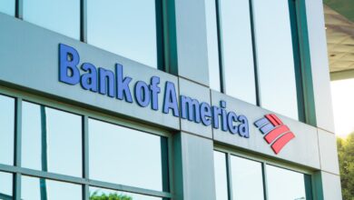 Bank of America: Bu Altcoin Alanında Bir İstisna!