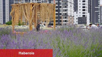 Başkan Altınok fotoğrafçıları Lavanta ve Gül bahçesine davet etti 