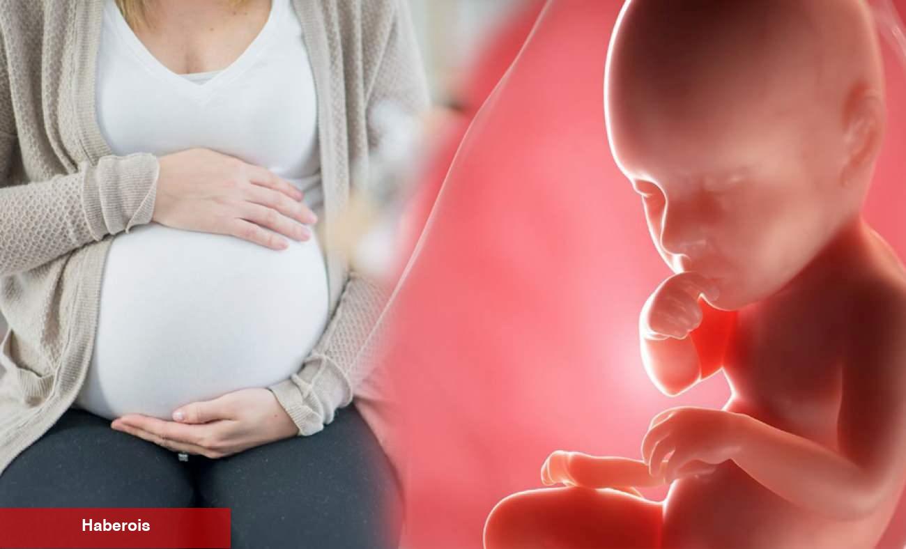 Bebekler hamilelikte anneden besinleri nasıl alır? Anne karnındaki bebek anneden nasıl beslenir