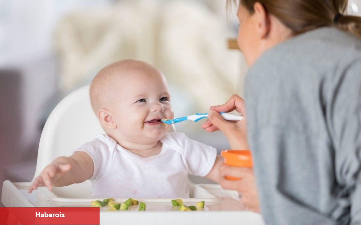 Bebekler kaçıncı aydan sonra ek besine başlamalıdır?