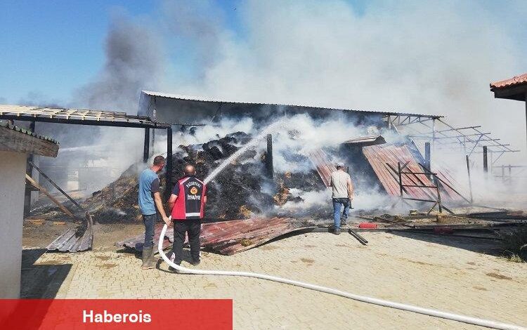 Bilecik’te at çiftliğinde büyük yangın - Haberois Bilecik’te at çiftliğinde büyük yangın