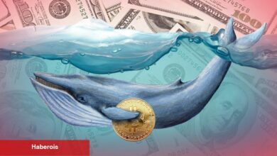 Binance Balinaları Satış Baskısını Artırdı! Neler Olabilir?