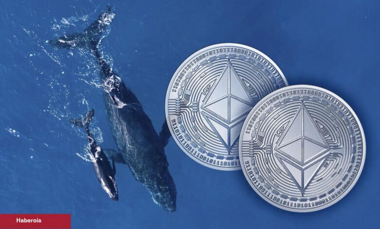 Binance’e Ethereum Boşaltan Balinalar, Bu Coinleri Topluyor! - Haberois Binance’e Ethereum Boşaltan Balinalar, Bu Coinleri Topluyor!