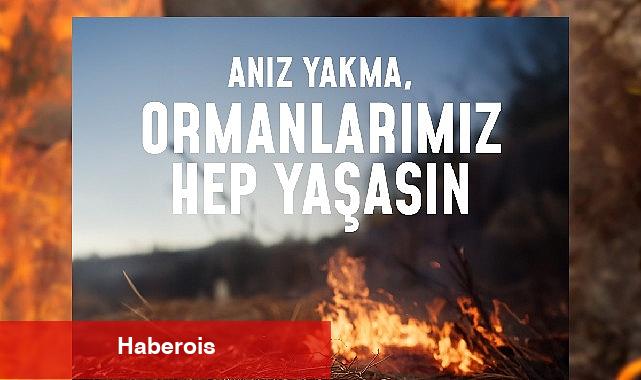 Bir kıvılcım geleceğimizi yakmasın, ormanlarımız hep yaşasın!