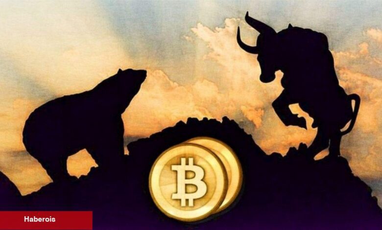 Bir Sonraki Boğa Döneminde Patlama Yapacak 3 Altcoin - Haberois Bir Sonraki Boğa Döneminde Patlama Yapacak 3 Altcoin