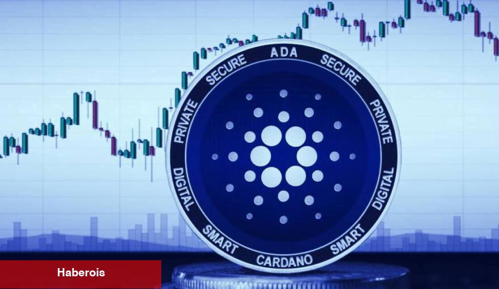 Bir Sonraki Boğa Koşusu İçin Alınacak 3 Altcoin Mücevheri - Haberois Bir Sonraki Boğa Koşusu İçin Alınacak 3 Altcoin Mücevheri