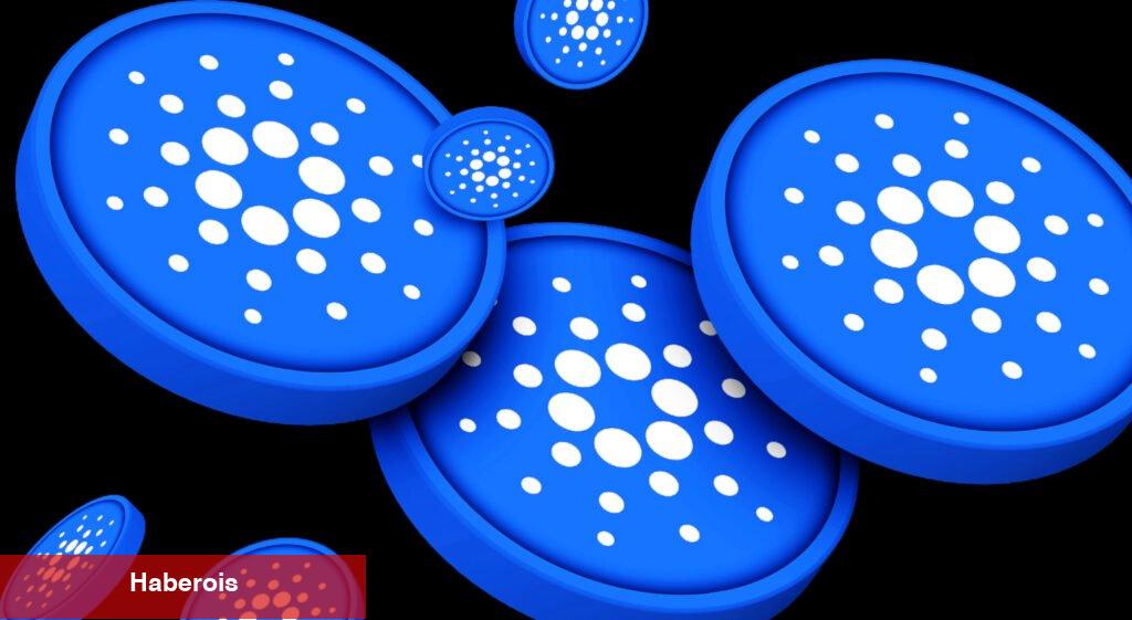 Bir Sonraki Boğa Koşusu İçin Alınacak 3 Altcoin Mücevheri - Haberois Bir Sonraki Boğa Koşusu İçin Alınacak 3 Altcoin Mücevheri
