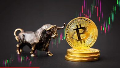 Bitcoin Boğası Elindekileri Satıp Bunları Alıyor!