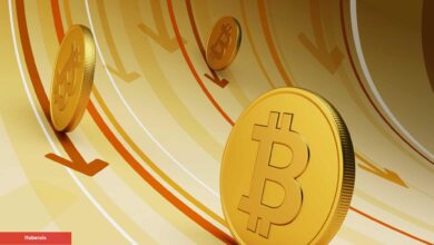 Bitcoin Fiyatı Buradan Ne Kadar Düşebilir?