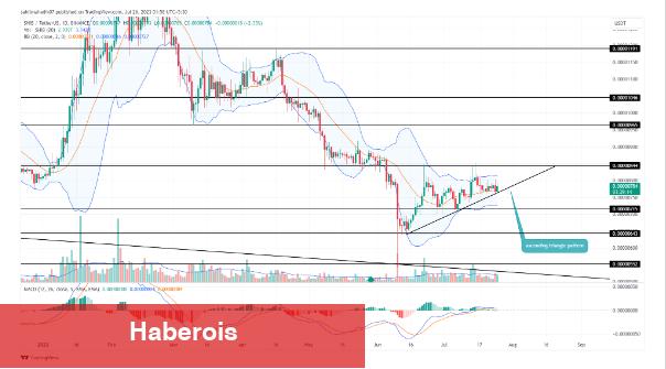 Boğa Formasyonu Var! Bu 6 Altcoin İzlenmeli!