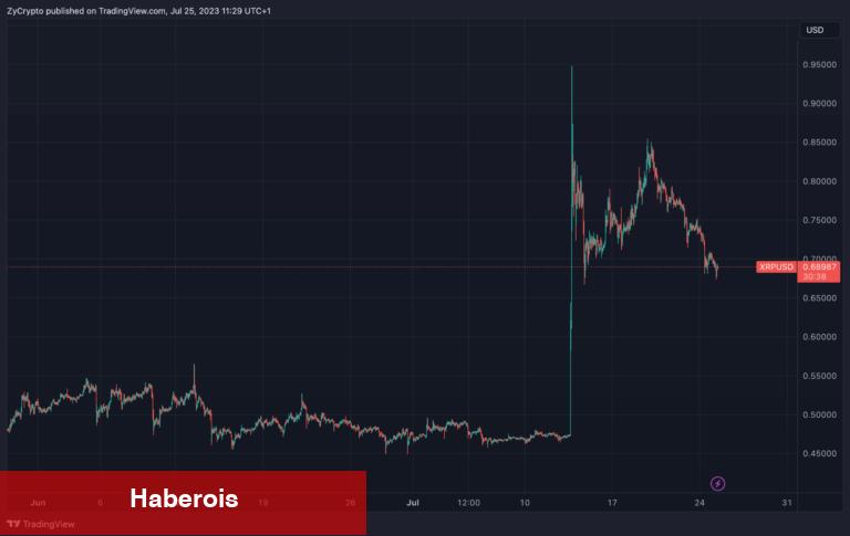 Boğa Formasyonu Var! Bu 6 Altcoin İzlenmeli!