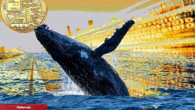 Bu 11 Altcoin İçin Son Dakika: Balina Satışı da Var!