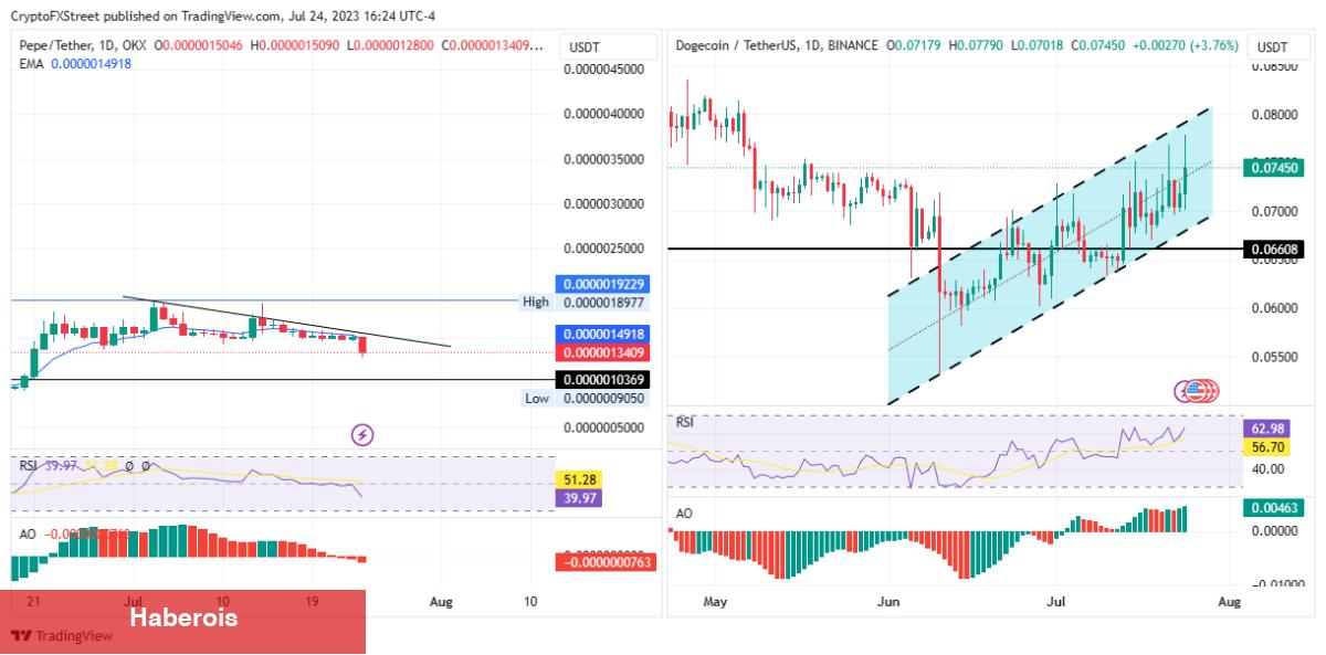 Bu 2 Altcoin İçin Satış Çılgınlığı: Yatırımcılar Tasfiye Ediyor!