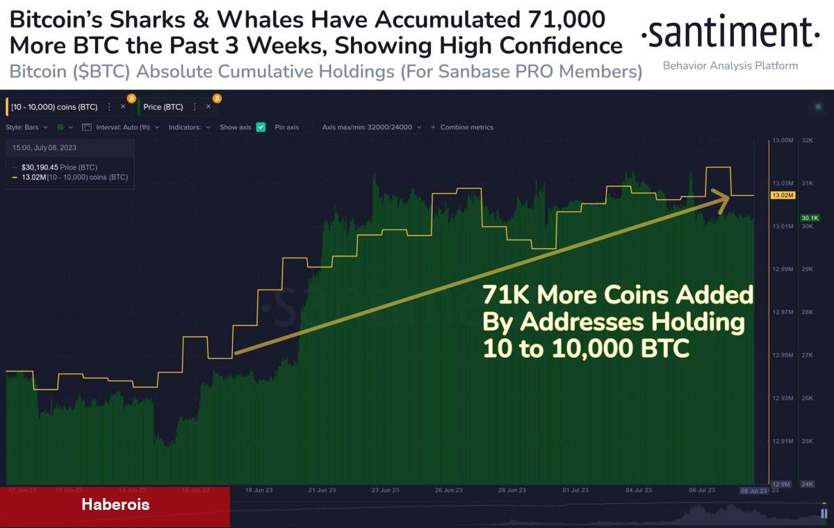 Bu 6 Bitcoin İddiasına Dikkat: O Sayılar Görülebilir!