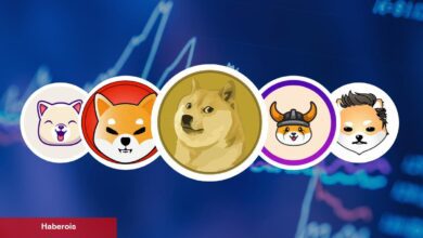 Bu Altcoin’ler 2.0 Haberiyle Fırladı! Neler Oluyor?