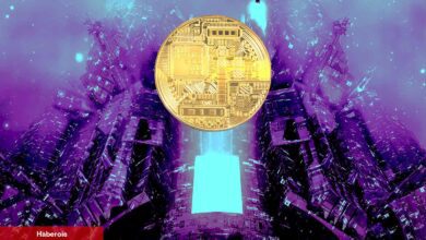 Bu Listeye Dikkat: 50x Yapacak Altcoinler Açıklandı!