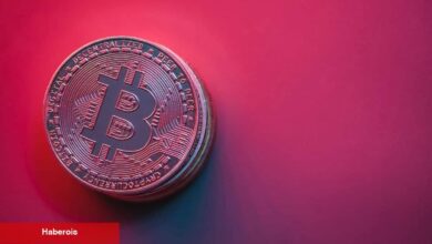 Bu Varsayımlara Dikkat: Uzmanlar, Bitcoin İçin Sıradakini Açıkladı!
