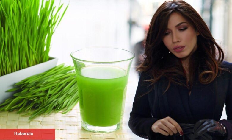Burcu Güneş'in uyguladığı Çim suyu diyeti gündem oldu! Buğday çimi suyu kilo verdirir mi? - Haberois Burcu Güneş'in uyguladığı Çim suyu diyeti gündem oldu! Buğday çimi suyu kilo verdirir mi?