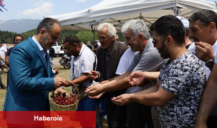 Bursa Keles Kirazı da coğrafi işarete kavuştu