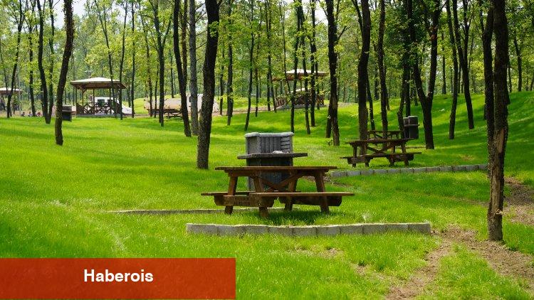 Bursa'da Cumalıkızık Orman Parkı faaliyette