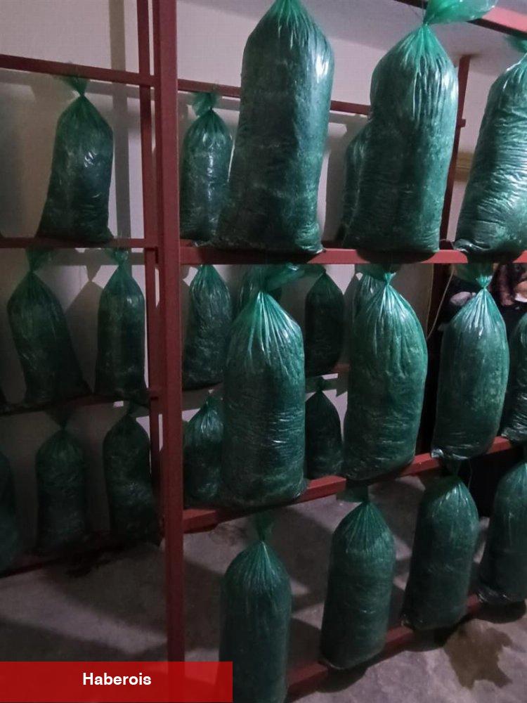 Bursa'da mantar yetiştiricileri kursiyerlerine teknik gezi