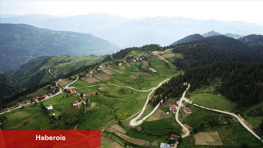 Çambaşı Yaylası nerede? Çambaşı Yaylasına nasıl gidilir?